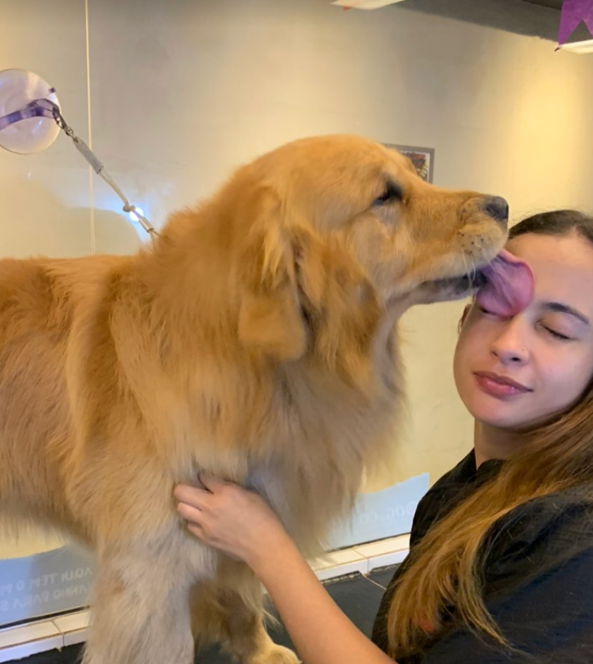Golden retriever recebendo carinho durante o banho e tosa