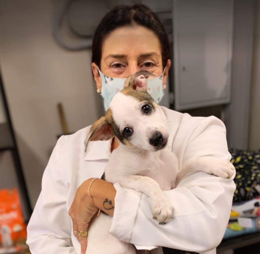 Veterinária da Meu Pet Brasil cuidando de um filhote